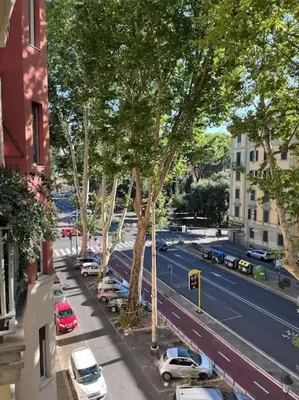 a view of a city street with cars parked on the street at Appartamento della Vittoria in Rome