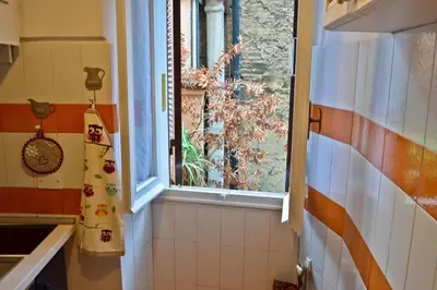 a kitchen with a window with a plant at La Casetta di Zio Mario in Rome