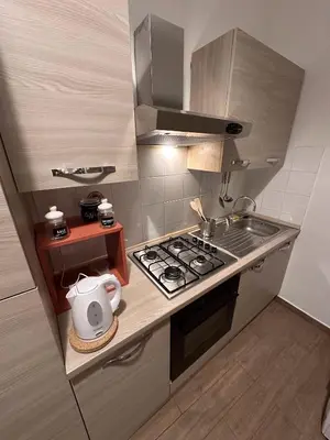 a small kitchen with a stove and a sink at PGL San Lorenzo in Rome