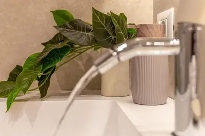 a plant sitting on top of a sink with a faucet at iFlat Modern & Comfortable apt in Trastevere in Rome