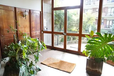 a room with a bunch of plants and windows at Villa Bonelli Penthouse in Rome