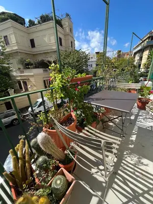 a patio with a table and a bunch of plants at Bed & Breakfast da Monica in Rome