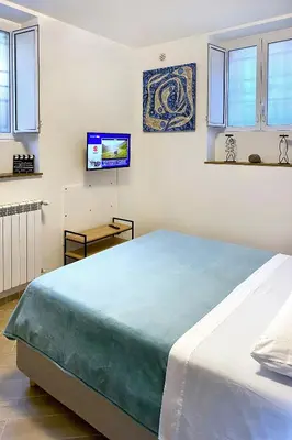 a bedroom with a large bed and a flat screen tv at La maisonette romana in Rome