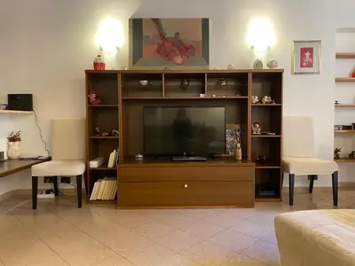 a living room with a television in a wooden entertainment center at Idi's House in Rome