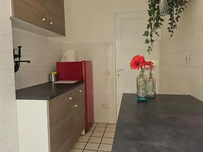 a kitchen with a vase with red flowers in it at R home of art in Rome