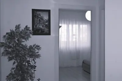 a living room with a plant and a mirror at Fem House in Rome