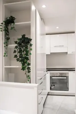 a kitchen with white cabinets and a potted plant at NEW Mini Loft per 3 a Roma centro in Rome