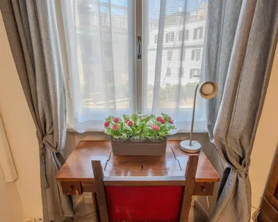 a table with a potted plant on it next to a window at Le Caraffe ROMA - Parioli in Rome