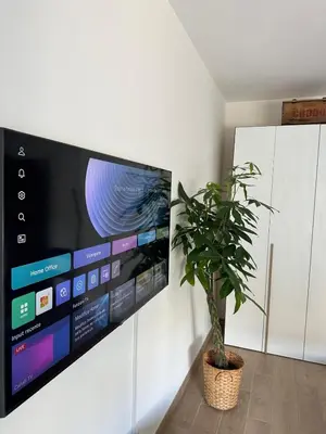 a tv on a wall with a potted plant at Alloggio turistico Gloria e Luigi in Rome