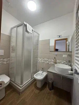 a bathroom with a shower and a sink and a toilet at Lux of the Vatican in Rome