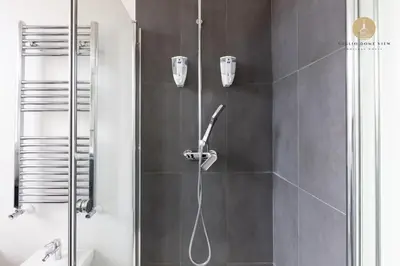 a shower with a shower head in a bathroom at Giglio Dome View - St Peter View, 300mt to Metro A, Vatican City, A-C in Rome