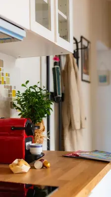 a kitchen counter with a plant on a table at Porta Pia apartment ZENO 53 in Rome