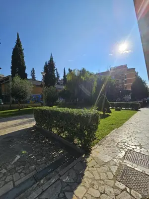 a hedge in a park with the sun in the sky at A Casa di Luca in Rome