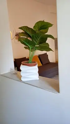 a plant sitting on top of a stack of towels at Ponte Milvio Loft in Rome
