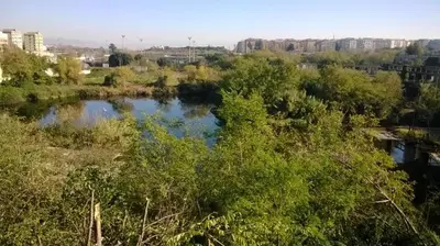 a river with trees and buildings in the background at Camere artistiche in appartamento in Rome
