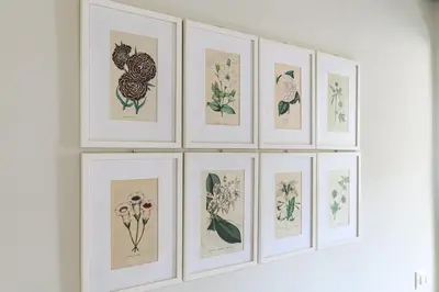 a row of framed drawings of flowers on a wall at Casa Sardi in Rome
