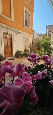 a bunch of pink flowers in front of a building at Casa Capponi - A San Pietro in Rome