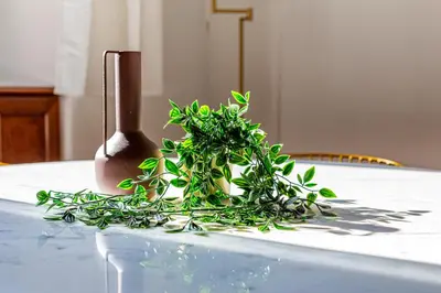 a plant sitting on top of a table at iFlat Colosseum & Monti Cozy Bright Dream in Rome