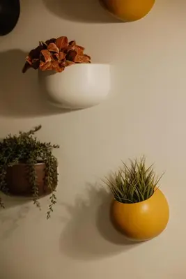 two pots with plants in them on a wall at Restart Accommodations Lante in Rome
