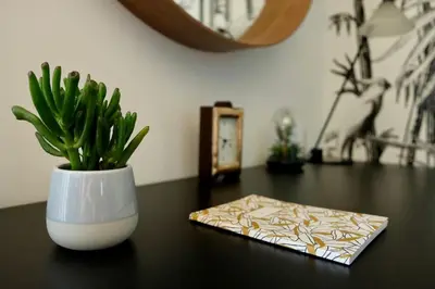 a plant in a white vase sitting on a table at Gioia House in Rome