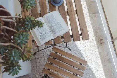 a book sitting on a bench next to a plant at Modern Spacious Apartment on the Tevere in Rome