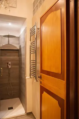 a bathroom with a wooden door and a shower at Ficus Corner - Vatican in Rome