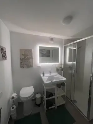 a bathroom with a toilet and a sink and a shower at Vatican Almond Tree Penthouse in Rome