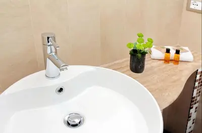 a white bathroom sink with a plant on a counter at Campo de fiori charm apartment in Rome