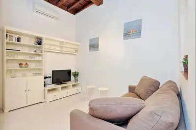 a living room with a couch and a tv at Campo de fiori charm apartment in Rome