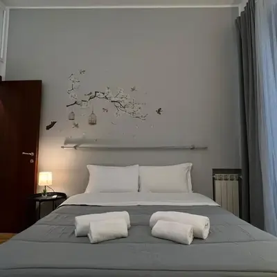 The Stay