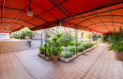 a covered patio with plants in pots on it at Casetta Maria Pia near Metro A Cornelia in Rome