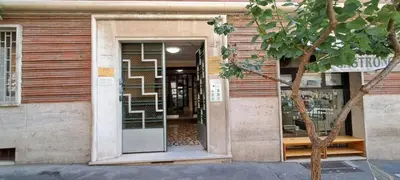 a store front with a glass door and a tree at Machiavelli Forty Seven in Rome