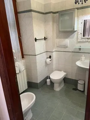 a bathroom with a toilet and a sink at Domus del Vicario in Rome