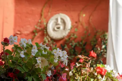 a plant with flowers in front of a wall at Tiberim Lux Penthouse City View in Rome