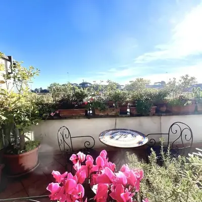 The Terrace at Vatican