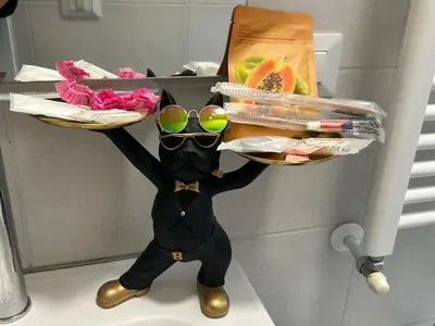 a mascot holding up a shelf of food at San Giovanni Studio in Rome