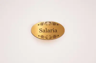 a gold button with the name salaria on it at Appia - Regina Viarum B&B in Rome