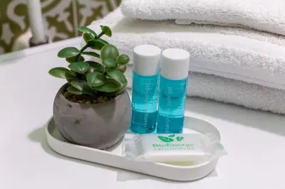 a bathroom counter with a bottle of disinfectant and a plant at Iflat Comfortable & Spacious Dolce Vita Retreat in Rome