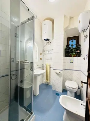 a bathroom with a shower and a toilet and a sink at Via Veneto Lulus Home in Rome