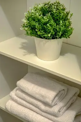 a shelf with towels and a potted plant on it at Colosseo MecenArt 77 - Home and More in Rome