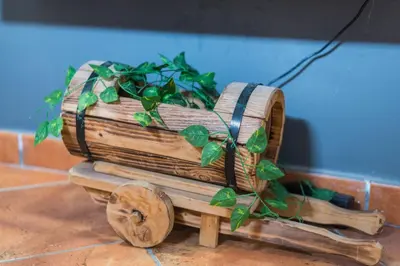 a wooden planter with a plant growing out of it at SorinaHome Campo de Fiori Loft in Rome