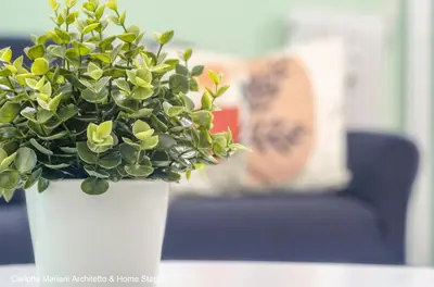a white vase with a green plant in it at Acquedotti House in Rome