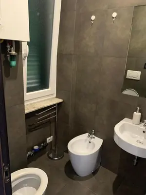 a bathroom with a toilet and a sink at unica-vatican museum in Rome