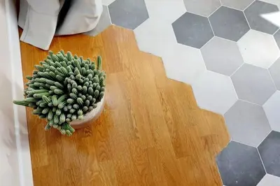 a small green plant sitting on top of a wooden floor at Julie's Renovated View in Rome
