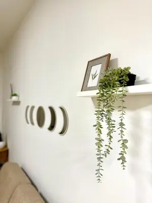 a shelf with a plant and a clock on a wall at Vaschome in Rome