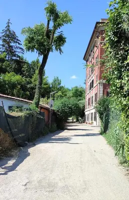 an empty street with a tree and a building at San Peter Vatican City quiet and lovely apartment in Rome