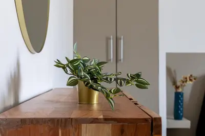 a potted plant sitting on top of a wooden table at iFlat Brand New & Modern Central Station apt in Rome