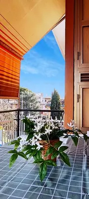 a potted plant sitting on the floor of a balcony at Nico's Apartment in Rome