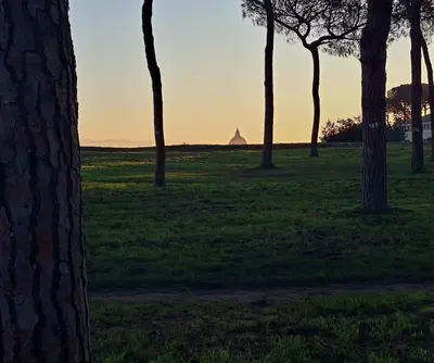 a group of trees in a field at sunset at Il Pineto in Rome