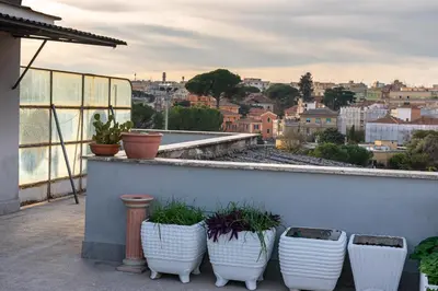a balcony with four white pots with plants in them at DODO Casa e appartamento per vacanze in Rome